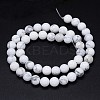 Round Natural Howlite Bead Strands X1-G-F222-14-6mm-3