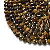 Natural Tiger Eye Beads Strands G-P573-A60-01-3