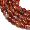 Natural Red Agate(Dyed & Heated) Beads Strands G-C287-A01-01-4