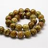 Round Natural Dragon Blood Jasper Beads Strands G-K072-8mm-2