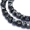 Natural Snowflake Obsidian Beads Strands G-K310-B13-3