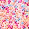 Opaque Baking Paint Glass Seed Beads SEED-T008-02-M02-3