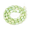 Natural Trochus Shell Beads Strands SHEL-K006-19-01C-2
