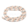 Electroplated Natural Shell Beads Strands SHEL-F008-03A-04-2