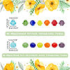 14 Strands 14 Style Imitate Austrian Crystal Bicone Glass Beads Strands GLAA-WR0001-01-2