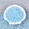 FGB Grade A Transparent Glass Seed Beads SEED-Q040-03A-01-3
