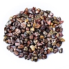 Natural Leopard Skin Jasper Tumbled Chips PW-WGA7DCE-43-1