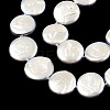 Plating Natural Freshwater Shell Beads Strands SHEL-N026-225B-3