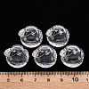 Transparent Acrylic Pendants TACR-T024-05B-205-4