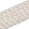 Natural Cultured Freshwater Pearl Beads Strands PEAR-L001-02-5