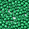 6/0 Glass Seed Beads SEED-S058-A-F280-3