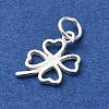 925 Sterling Silver Charms STER-M119-12S-2