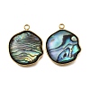 304 Stainless Steel Pave Natural Paua Shell Pendants STAS-Z125-01H-G-1