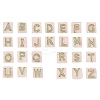 Natural Rose Quartz Pendants G-P585-05G-02-1