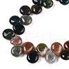 Natural Indian Agate Beads Strands G-T138-113-3