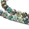 Natural African Turquoise(Jasper) Beads Strands X-G-F717-01-4