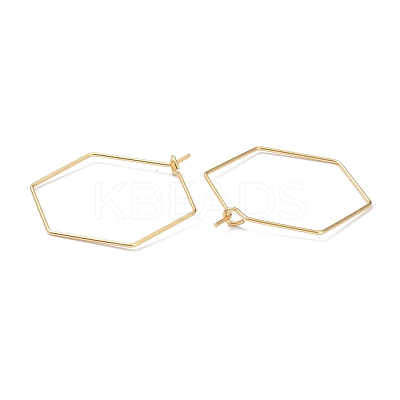 316 Stainless Steel Hoop Earring Findings STAS-K216-03B-G-1
