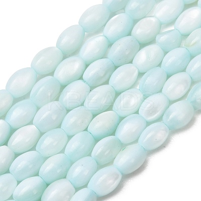 Dyed Natural Freshwater Shell Beads Strands SH-CBA2978-06C-1
