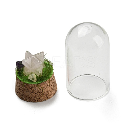 Natural Rose Quartz Polygon Display Decoration with Glass Dome Cloche Cover DJEW-B009-05F-1