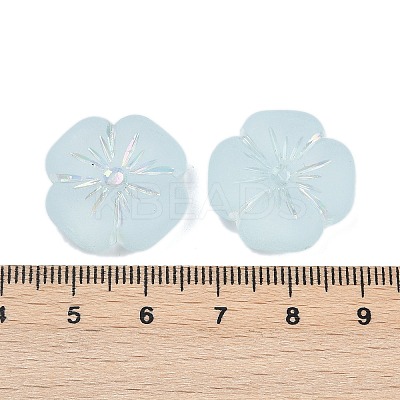 Frosted Transparent Acrylic Beads OACR-P029-19B-06-1