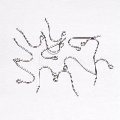 Tarnish Resistant 304 Stainless Steel Earring Hooks STAS-F117-47P-1
