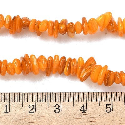 Natural Freshwater Shell Beads Strands BSHE-I016-01I-1