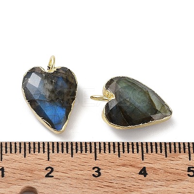 Natural Mixed Stone Pendants G-G012-11G-B-1