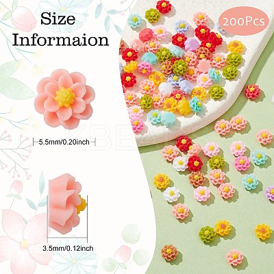 Opaque Resin Cabochons RESI-CJC0012-26I-1