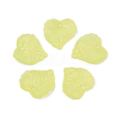 Transparent Acrylic Pendants TACR-S157-01A-1