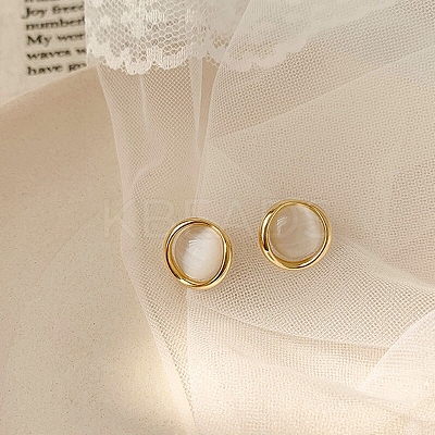 Alloy & Resin Earrings for Women FS-WG67811-51-1