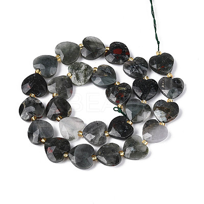 Natural African Bloodstone Beads Strands G-P592-B07-01-1