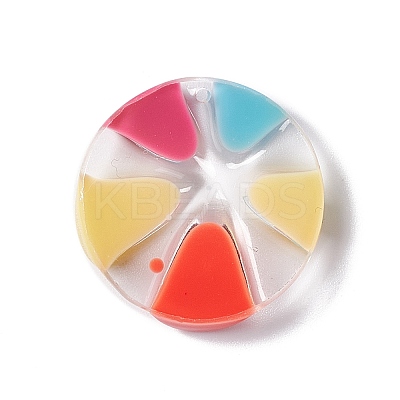 Transparent Resin Pendants RESI-E029-03A-1