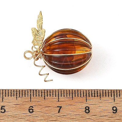 Transparent Acrylic 304 Stainless Steel Pendants PALLOY-TA00447-1