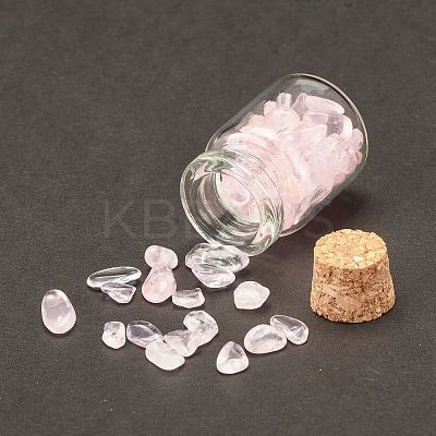 Transparent Glass Wishing Bottle Decoration DJEW-A001-01A-07-1