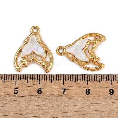 304 Stainless Steel Resin Pendants STAS-P410-10G-1