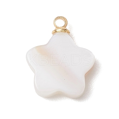5Pcs 5 Styles Natural Shell Pendants PALLOY-JF04892-1