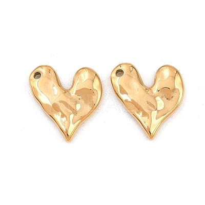 304 Stainless Steel Pendants LS-STAS-H241-30G-1