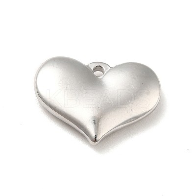 Non-Tarnish 304 Stainless Steel Pendants LS-STAS-E176-01P-1