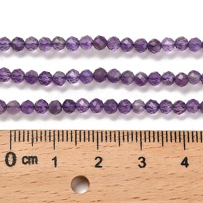 Natural Amethyst Beads Strands G-K373-B03-03-1