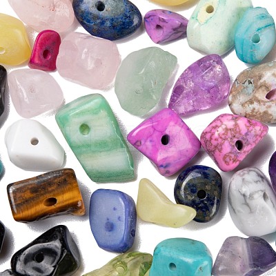 270G 18 Style Natural & Synthetic Gemstone and Shell Chip Beads G-FS0001-25-1