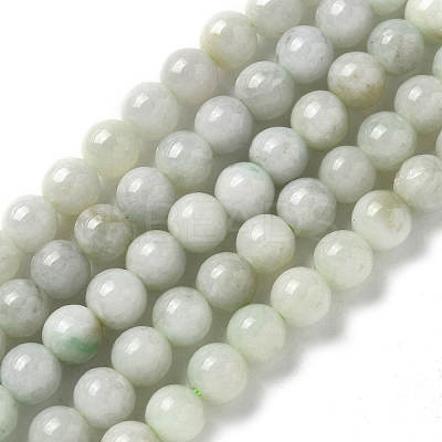 Natural Myanmar Jadeite Beads Strands G-L595-C01-01A-1