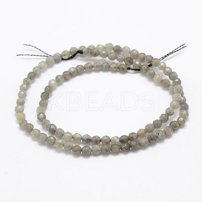 Natural Labradorite Beads Strands G-P322-30-4mm-1