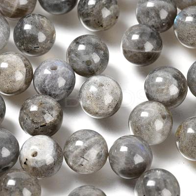 100Pcs 8mm Grade AA Natural  Labradorite Round Beads DIY-LS0002-58-1