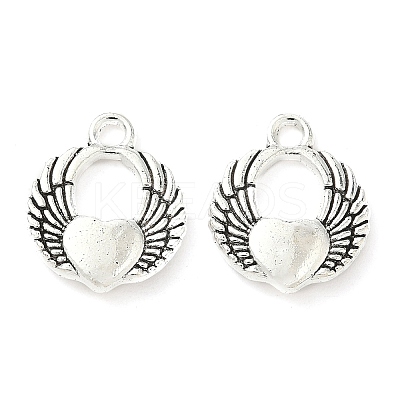 Tibetan Style Alloy Pendants FIND-B050-24AS-01-1