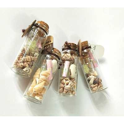 Glass Wishing Bottles DJEW-J001-04-1