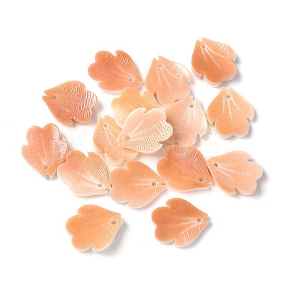 Natural Sea Shell Carved Leaf Charms SSHEL-C013-02C-1
