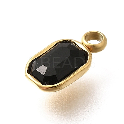 304 Stainless Steel Pendants STAS-Q346-03G-05-1