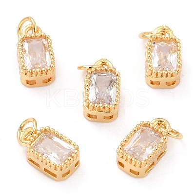 Real 18K Gold Plated Brass Inlaid Cubic Zirconia Charms ZIRC-L100-075G-03-1