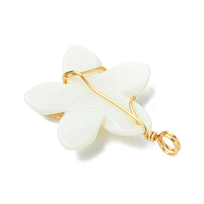 Natural Carved Freshwater Shell Pendants PALLOY-JF03391-1