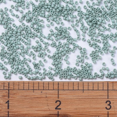 MIYUKI Delica Beads Small X-SEED-J020-DBS0374-1